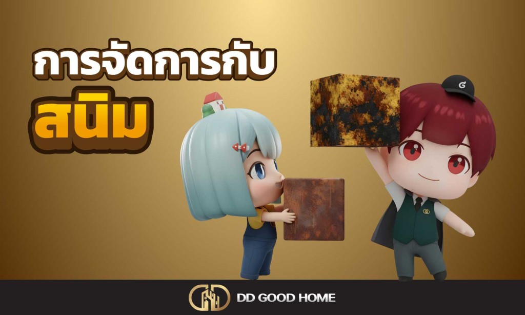 การจัดการกับสนิม