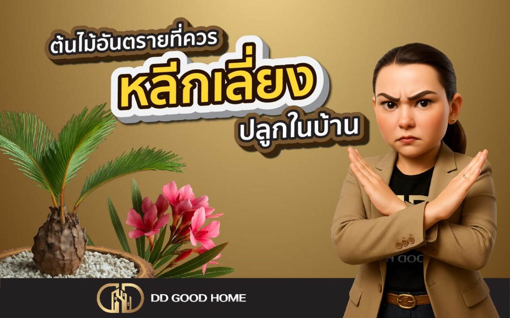 ต้นไม้อันตรายที่ควรหลีกเลี่ยงปลูกในบ้าน