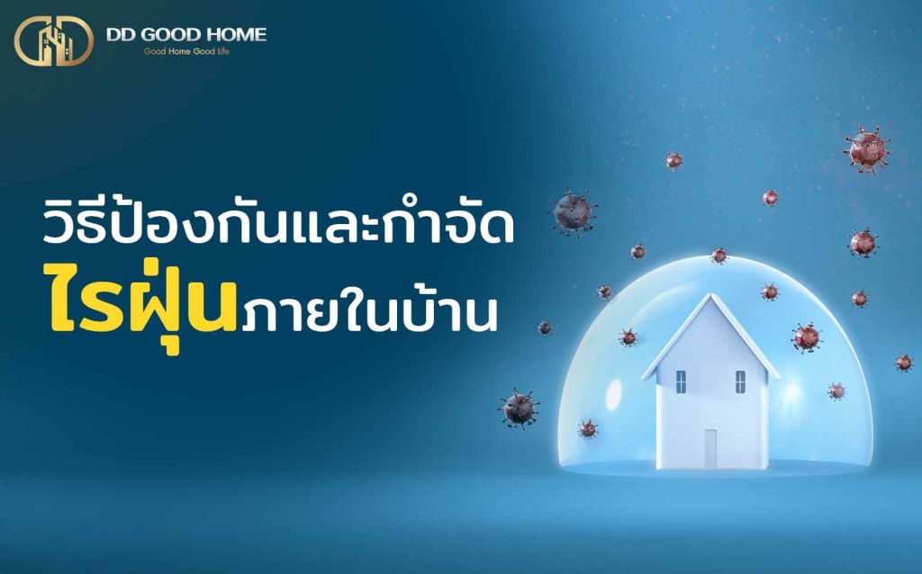 วิธีป้องกันแล้วกำจัดไรฝุ่นภายในบ้าน