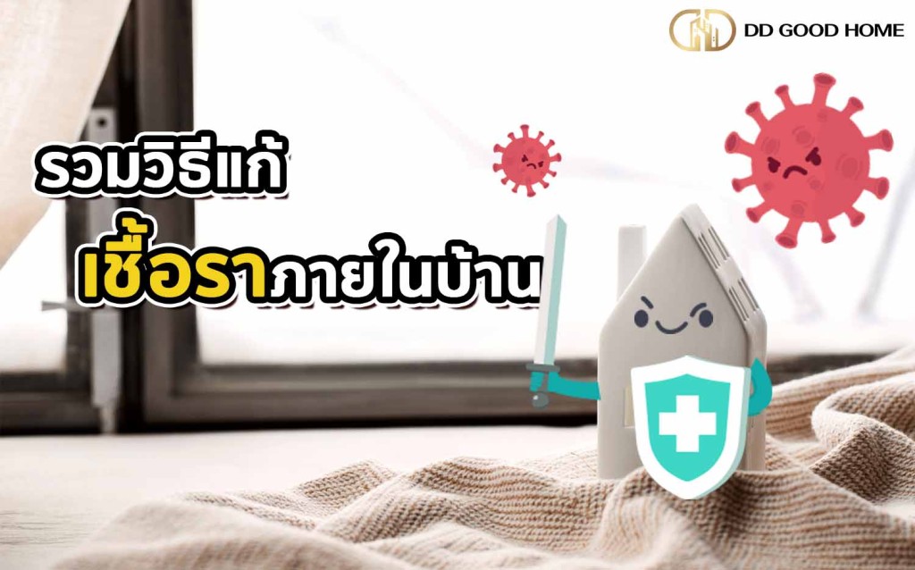 รวมวิธีแก้เชื้อราในภายบ้าน