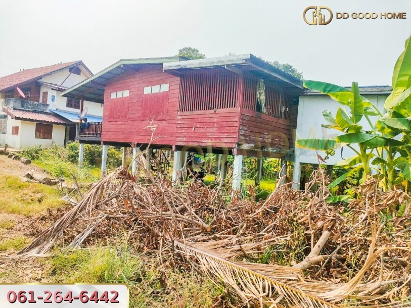 ขายบ้านเดี่ยวชั้นเดียวพร้อมที่ดิน 3 งาน 24 ตารางวา ตำบลยางซ้าย จังหวัดสุโขทัย ราคาพิเศษ!!-9