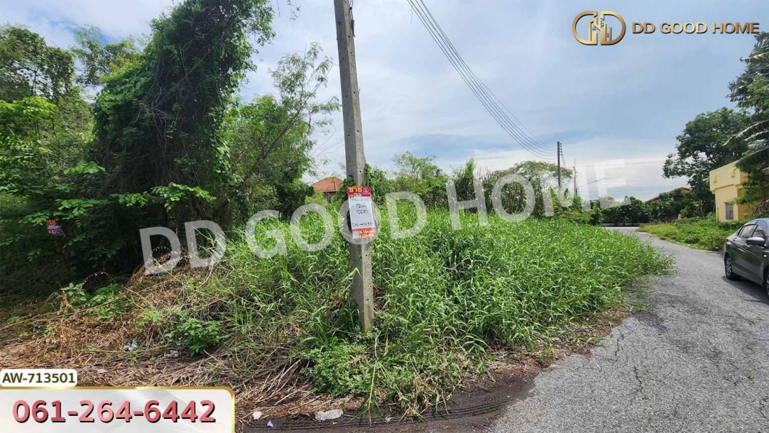 ที่ดินวังน้อย 106.1 ตร.ว.หมู่บ้านร่มรื่นวิลล์ 3 อยุธยา ใกล้วัดสว่างอารมณ์-3