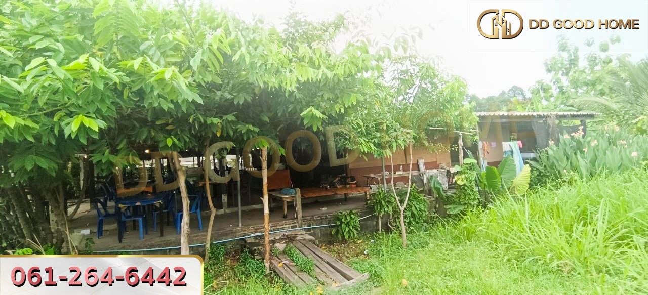 ที่ดินพร้อมสิ่งปลูกสร้าง ศรีราชา ชลบุรี ที่สวย ทำเลทอง 2 งาน 64 ตร.ว.-9
