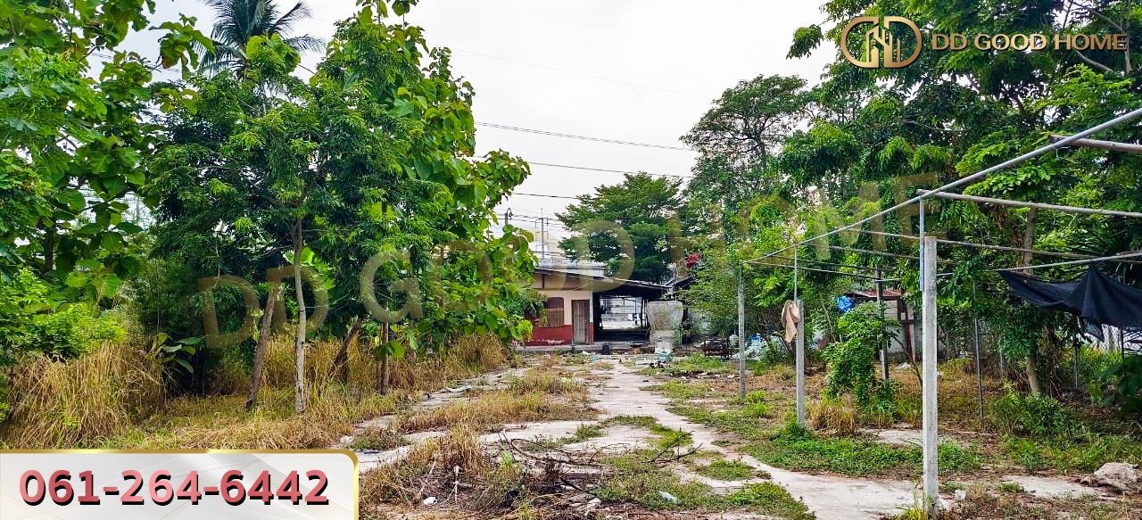 ที่ดินพร้อมสิ่งปลูกสร้าง ศรีราชา ชลบุรี ที่สวย ทำเลทอง 2 งาน 64 ตร.ว.-4