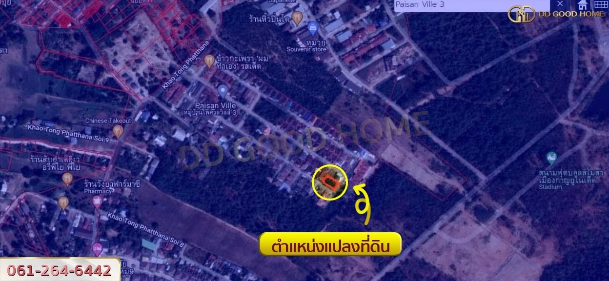 ที่ดินจัดสรร น.ส.3ก หมู่บ้านไพศาลวิลล์ 3 แปลงหัวมุม วิวภูเขา-4