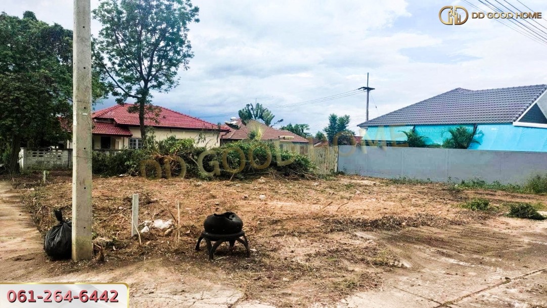 ที่ดินจัดสรร น.ส.3ก หมู่บ้านไพศาลวิลล์ 3 แปลงหัวมุม วิวภูเขา-3