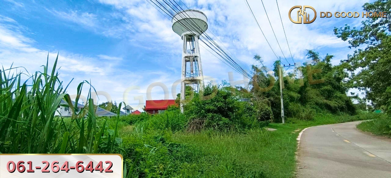 ขายที่ดินเปล่าถมแล้ว 124 ตร.ว. ที่สวย ทำเลทอง อ.บางละมุง จ.ชลบุรี-9