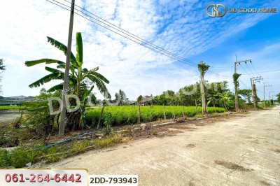 ที่ดินบางใหญ่ 89 ตร.ว. ซ.หมู่บ้านศรีสุภาลัย 1 นนทบุรี ใกล้วัดต้นเชือก-10