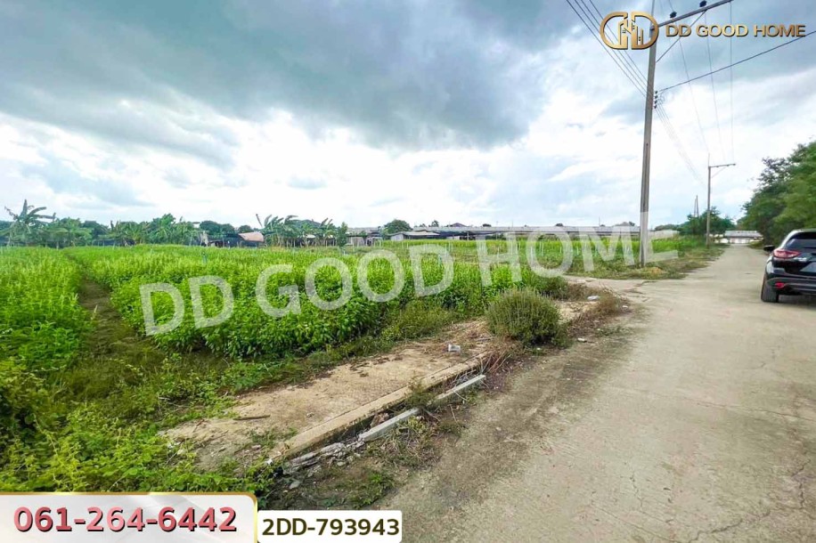 ที่ดินบางใหญ่ 89 ตร.ว. ซ.หมู่บ้านศรีสุภาลัย 1 นนทบุรี ใกล้วัดต้นเชือก-6