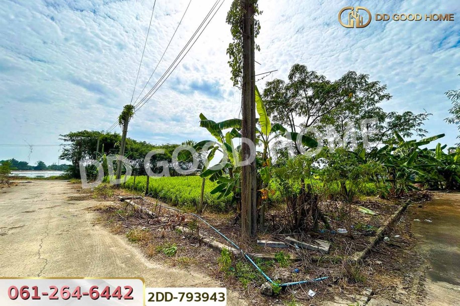 ที่ดินบางใหญ่ 89 ตร.ว. ซ.หมู่บ้านศรีสุภาลัย 1 นนทบุรี ใกล้วัดต้นเชือก-3