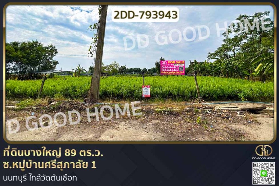 ที่ดินบางใหญ่ 89 ตร.ว. ซ.หมู่บ้านศรีสุภาลัย 1 นนทบุรี ใกล้วัดต้นเชือก-1