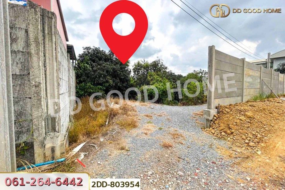 ที่ดินสามพราน 159 ตร.ว. ถ.พุทธมณฑลสาย 7 นครปฐม ใกล้วัดหอมเกร็ด (หลวงพ่อเพ้ง)-6