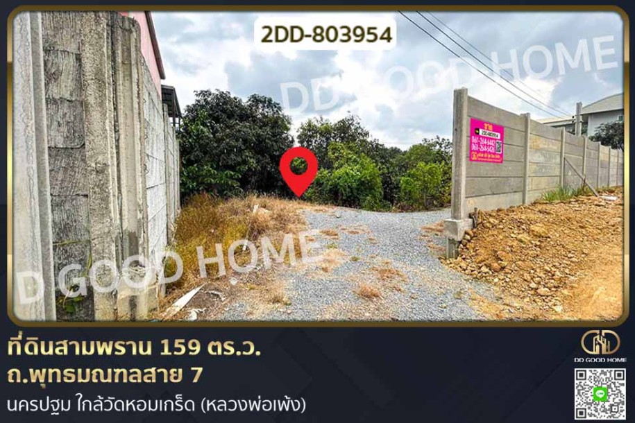 ที่ดินสามพราน 159 ตร.ว. ถ.พุทธมณฑลสาย 7 นครปฐม ใกล้วัดหอมเกร็ด (หลวงพ่อเพ้ง)-1