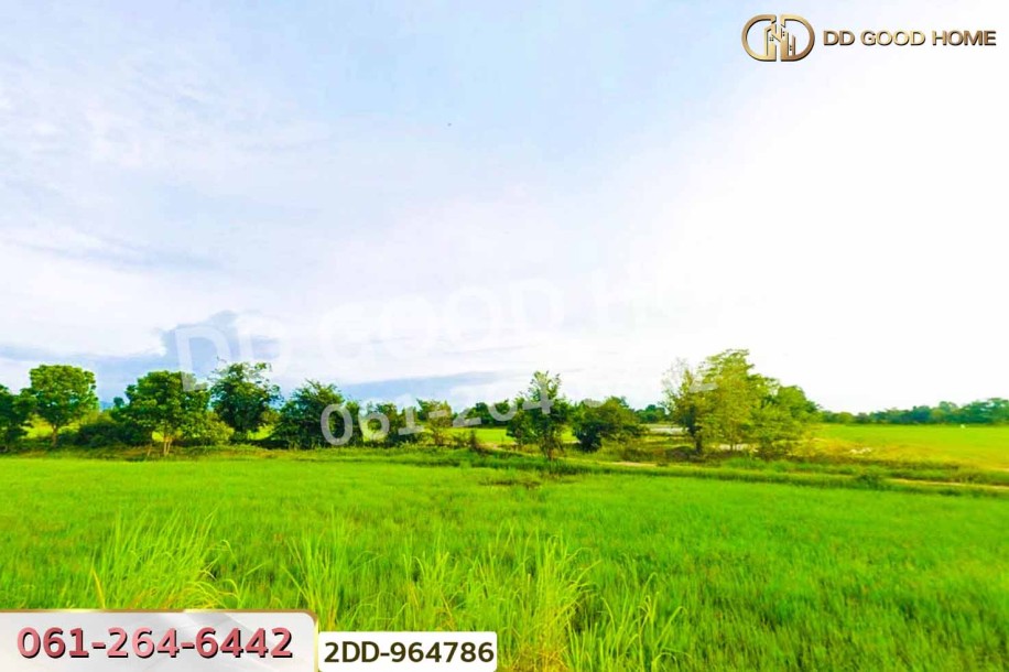 ที่ดินพยุหะคีรี 20 ไร่ 191.1 ตร.ว. นครสวรรค์ ใกล้องค์การบริหารส่วนตำบลยางขาว.-3