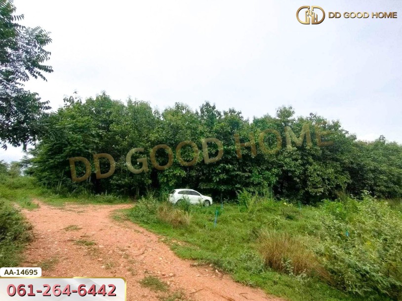 ที่ดินขนาด 14 ไร่ 314 ตร.ว. ใกล้โรงเรียนบ้านท่ามะริด ท่ายาง เพชรบุรี-7