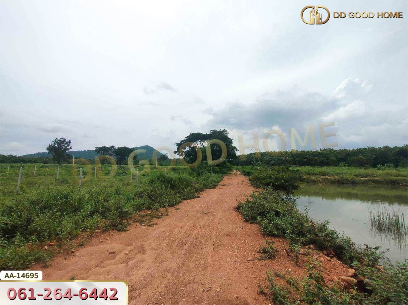 ที่ดินขนาด 14 ไร่ 314 ตร.ว. ใกล้โรงเรียนบ้านท่ามะริด ท่ายาง เพชรบุรี-5