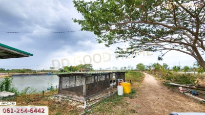 ที่ดินพร้อมสิ่งปลูกสร้าง บ่อกุ้งครูปัญญาฟาร์ม 78 ไร่ 5 ตร.ว. ต.หนองจอก อ.ท่ายาง
