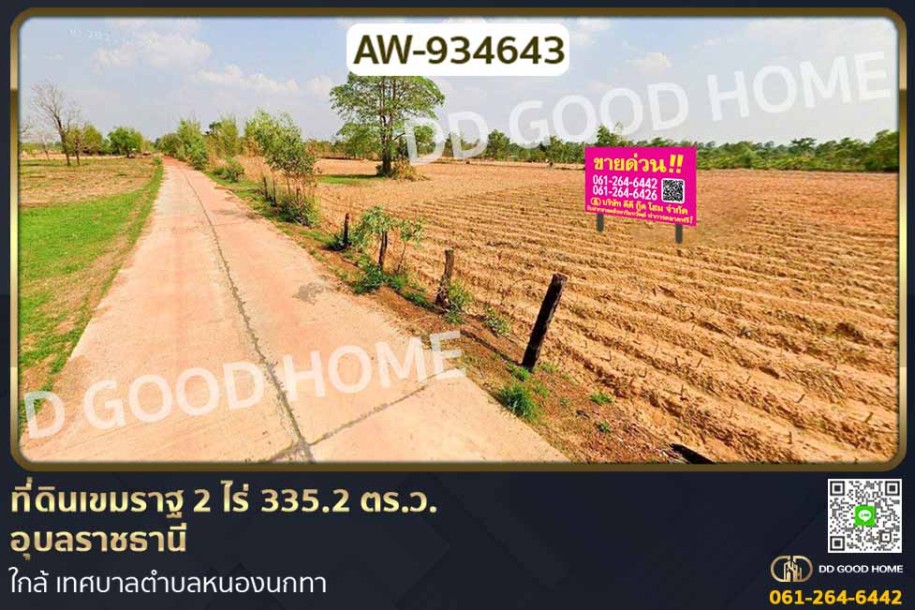 ที่ดินเขมราฐ 2 ไร่ 335.2 ตร.ว. อุบลราชธานี ใกล้ เทศบาลตำบลหนองนกทา-1