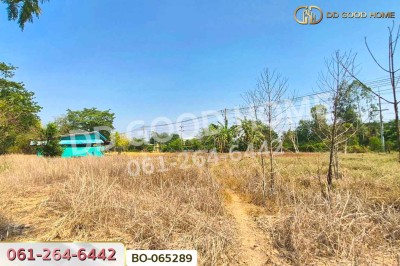 ที่ดินพร้อมสิ่งปลูกสร้างบ้านหมี่ 1 ไร่ 229 ตร.ว. ลพบุรี ใกล้ที่ว่าการอำเภอบ้านหมี่