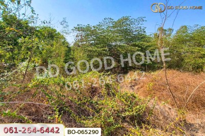 ที่ดินบ้านหมี่ 1 ไร่ 386.6 ตร.ว. ลพบุรี ใกล้ที่ว่าการอำเภอบ้านหมี่