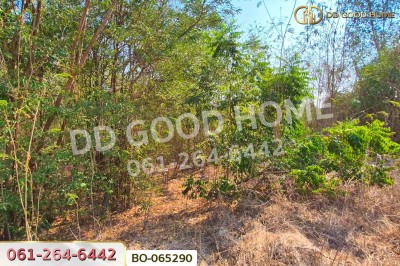 ที่ดินบ้านหมี่ 1 ไร่ 386.6 ตร.ว. ลพบุรี ใกล้ที่ว่าการอำเภอบ้านหมี่