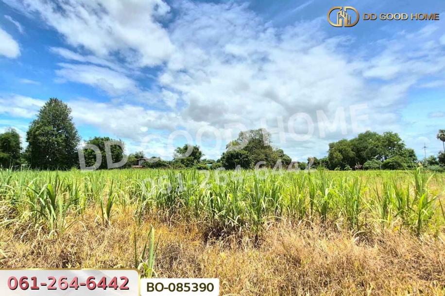 ที่ดินบ้านโป่ง 1 ไร่ 66 ตร.ว. ราชบุรี ใกล้ สยามคราฟท์ อุตสาหกรรม บจก. (โรงงานบ้านโป่ง)-5