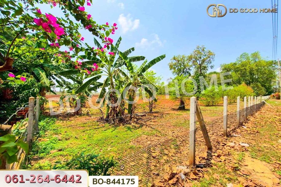 ที่ดินหนองบุญมาก 66 ไร่ 259 ตร.ว. นครราชสีมา ใกล้โรงพยาบาลหนองบุญมาก-9