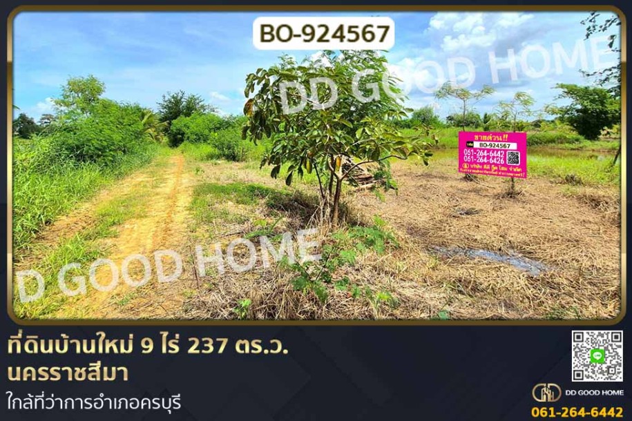ที่ดินบ้านใหม่ 9 ไร่ 237 ตร.ว. นครราชสีมา ใกล้ที่ว่าการอำเภอครบุรี-1