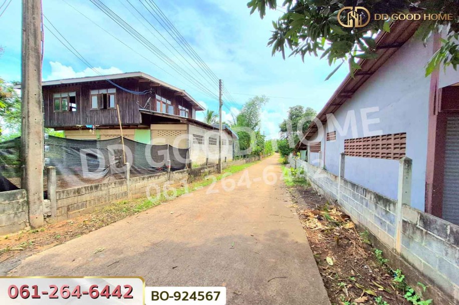 ที่ดินบ้านใหม่ 9 ไร่ 237 ตร.ว. นครราชสีมา ใกล้ที่ว่าการอำเภอครบุรี-9