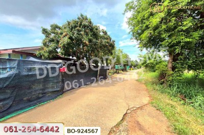 ที่ดินบ้านใหม่ 9 ไร่ 237 ตร.ว. นครราชสีมา ใกล้ที่ว่าการอำเภอครบุรี