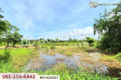 ที่ดินบ้านใหม่ 9 ไร่ 237 ตร.ว. นครราชสีมา ใกล้ที่ว่าการอำเภอครบุรี