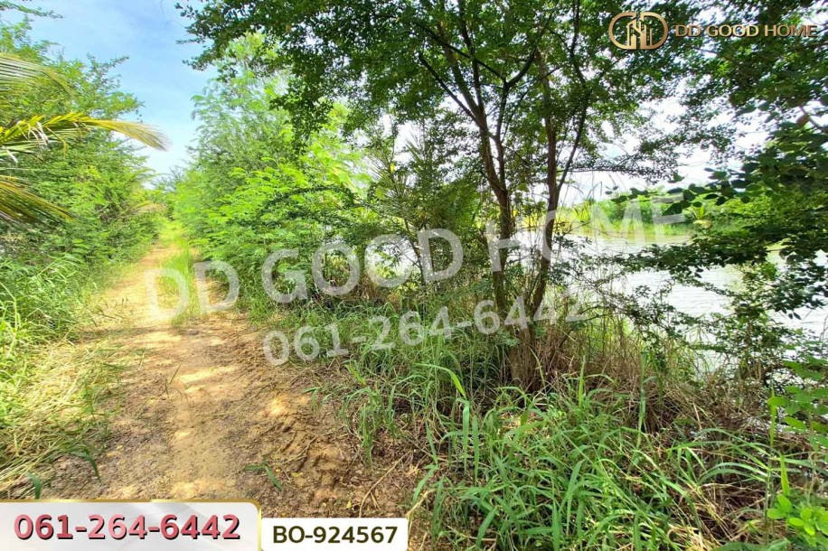 ที่ดินบ้านใหม่ 9 ไร่ 237 ตร.ว. นครราชสีมา ใกล้ที่ว่าการอำเภอครบุรี-6