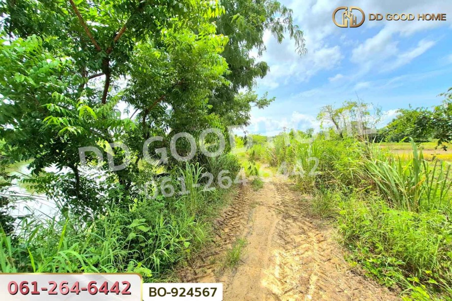 ที่ดินบ้านใหม่ 9 ไร่ 237 ตร.ว. นครราชสีมา ใกล้ที่ว่าการอำเภอครบุรี-5