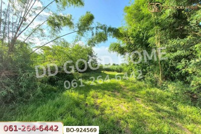 ที่ดินขามสะแกแสง 24 ไร่ 194.3 ตร.ว. นครราชสีมา ใกล้ที่ว่าการอำเภอขามสะแกแสง