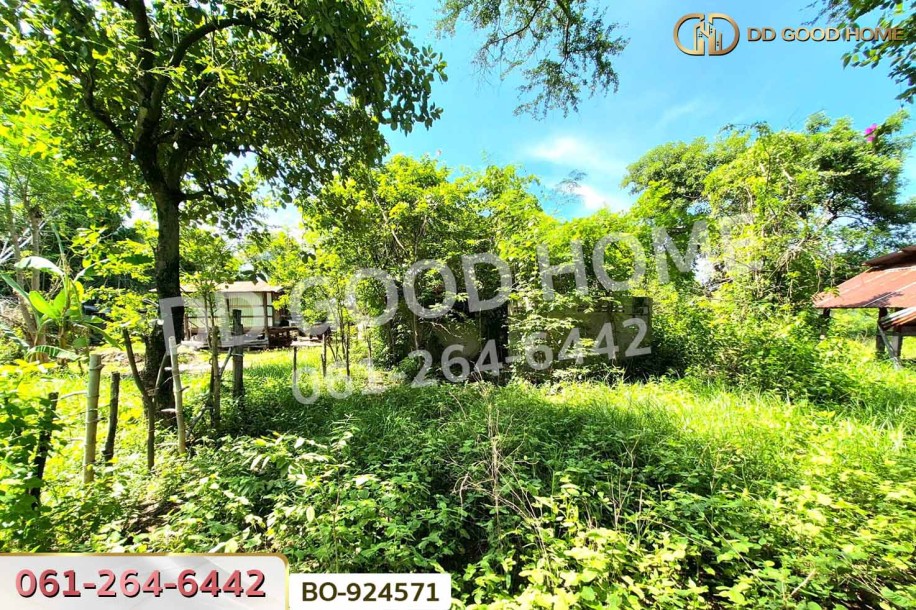 ที่ดินโนนไทย 220.6 ตร.ว. นครราชสีมา ใกล้ที่ว่าการอำเภอโนนไทย-7