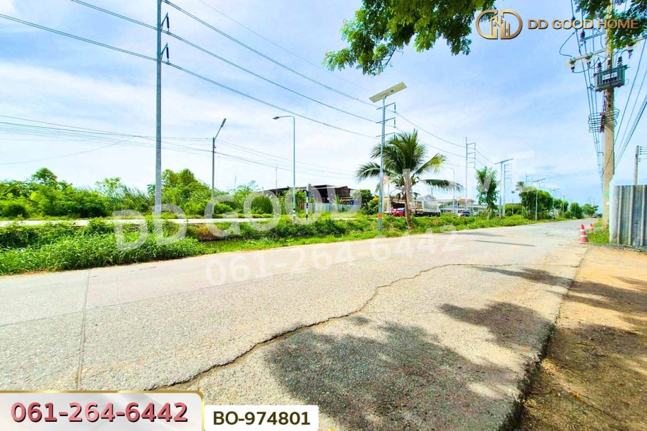 ที่ดินคลองสอง 1 ไร่ 19.1 ตร.ว. ปทุมธานี ใกล้ฟิวเจอร์พาร์ค รังสิต-9