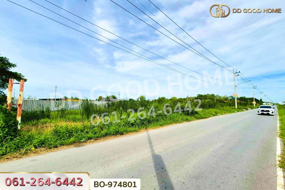 ที่ดินคลองสอง 1 ไร่ 19.1 ตร.ว. ปทุมธานี ใกล้ฟิวเจอร์พาร์ค รังสิต-4