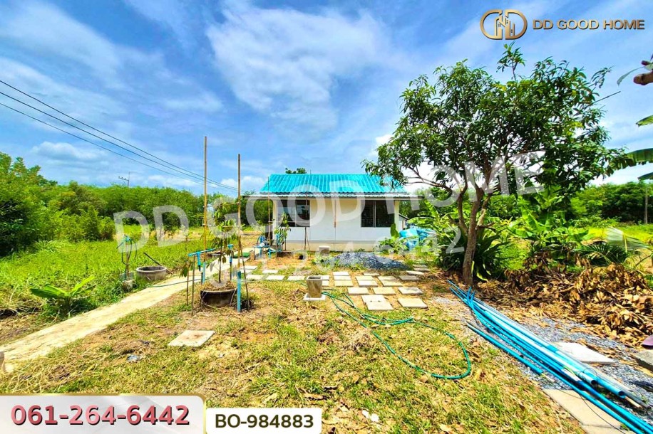 ที่ดินหนองเสือ 60 ตร.ว. ปทุมธานี ใกล้โรงเรียนสารสาสน์วิเทศปทุมธานี-4