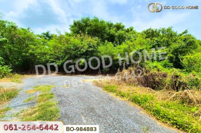 ที่ดินหนองเสือ 60 ตร.ว. ปทุมธานี ใกล้โรงเรียนสารสาสน์วิเทศปทุมธานี-6