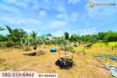 ที่ดินหนองเสือ 60 ตร.ว. ปทุมธานี ใกล้โรงเรียนสารสาสน์วิเทศปทุมธานี-3