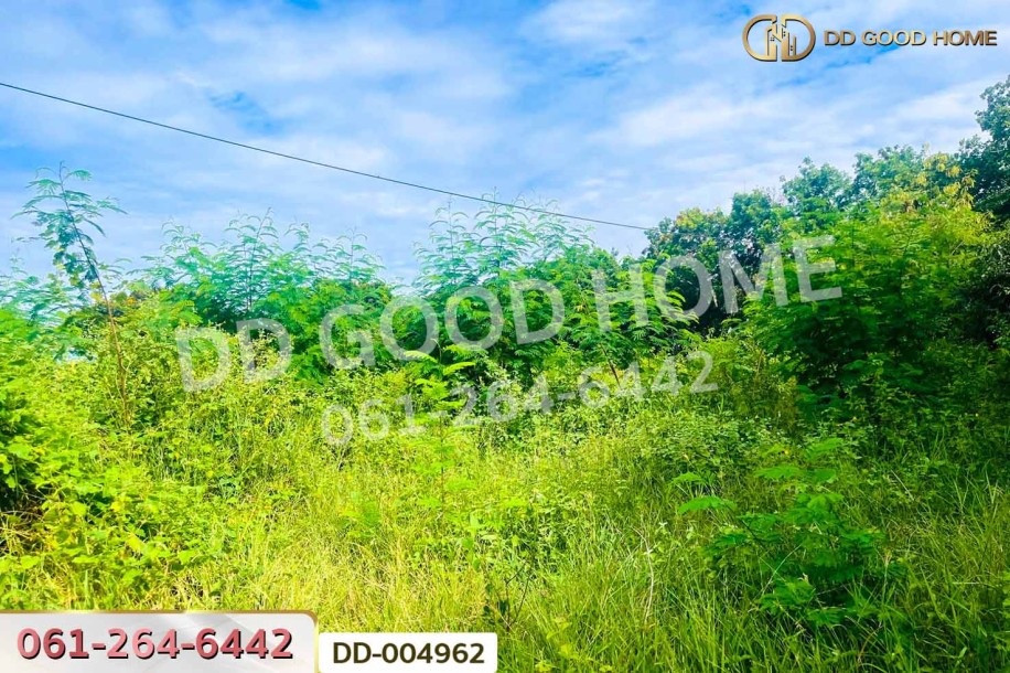 ที่ดินสวนแตง 150 ตร.ว.สุพรรณบุรี ใกล้เทศบาลตำบลสวนแตง.-2