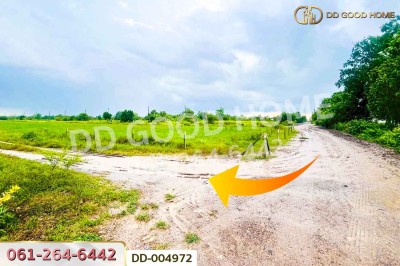 ที่ดินศีรษะกระบือ 103 ตร.ว. องครักษ์ นครนายก ใกล้มหาวิทยาลัยศรีนครินทรวิโรฒ องครักษ์.