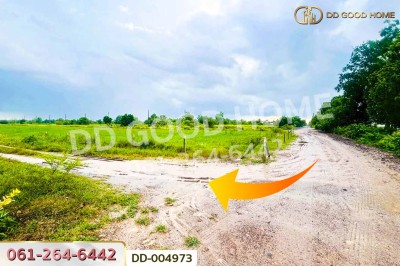 ที่ดินศีรษะกระบือ 214 ตร.ว. องครักษ์ นครนายก ใกล้มหาวิทยาลัยศรีนครินทรวิโรฒ องครักษ์.