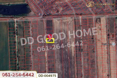 ที่ดินศีรษะกระบือ 103 ตร.ว. องครักษ์ นครนายก ใกล้มหาวิทยาลัยศรีนครินทรวิโรฒ องครักษ์.