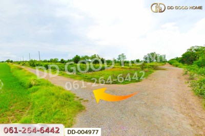 ที่ดินศีรษะกระบือ 52 ตร.ว. องครักษ์ นครนายก ใกล้มหาวิทยาลัยศรีนครินทรวิโรฒ องครักษ์.