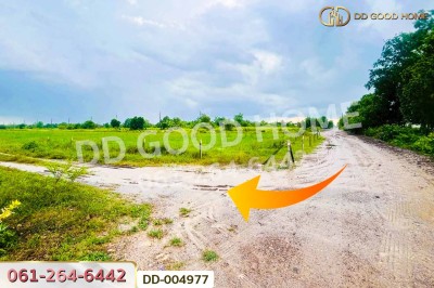 ที่ดินศีรษะกระบือ 52 ตร.ว. องครักษ์ นครนายก ใกล้มหาวิทยาลัยศรีนครินทรวิโรฒ องครักษ์.
