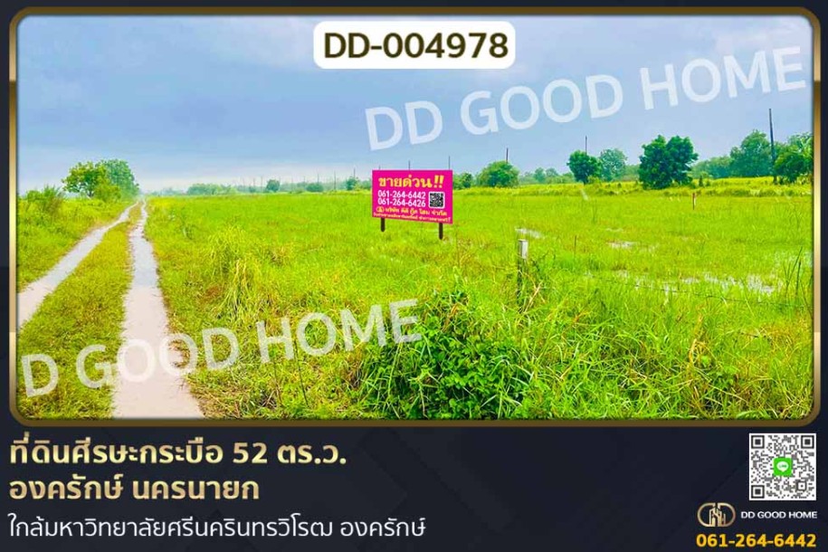 ที่ดินศีรษะกระบือ 52 ตร.ว. องครักษ์ นครนายก ใกล้มหาวิทยาลัยศรีนครินทรวิโรฒ องครักษ์.-1