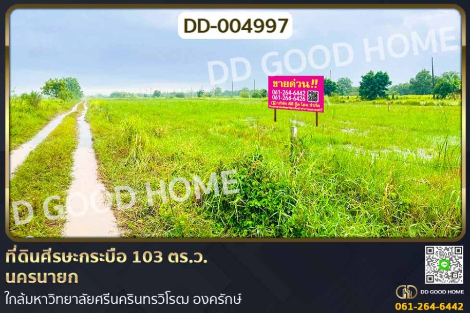 ที่ดินศีรษะกระบือ 103 ตร.ว. นครนายก ใกล้มหาวิทยาลัยศรีนครินทรวิโรฒ องครักษ์.-1