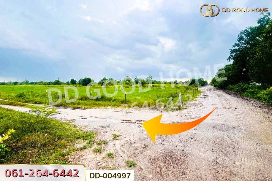ที่ดินศีรษะกระบือ 103 ตร.ว. นครนายก ใกล้มหาวิทยาลัยศรีนครินทรวิโรฒ องครักษ์.-7