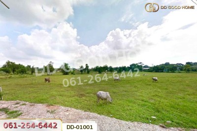 ที่ดินตะกุด 4 ไร่ 229.5 ตร.ว. สระบุรี ใกล้โรบินสัน ไลฟ์สไตล์ สระบุรี